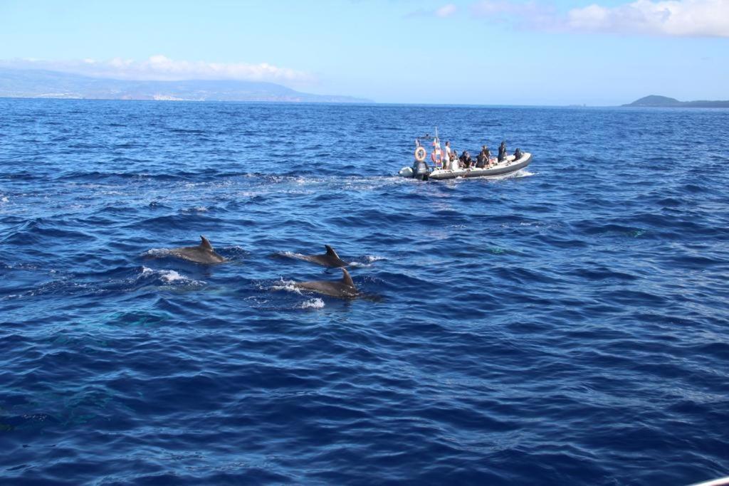 Cantinho Dos Cagarros Lajes do Pico Exterior photo